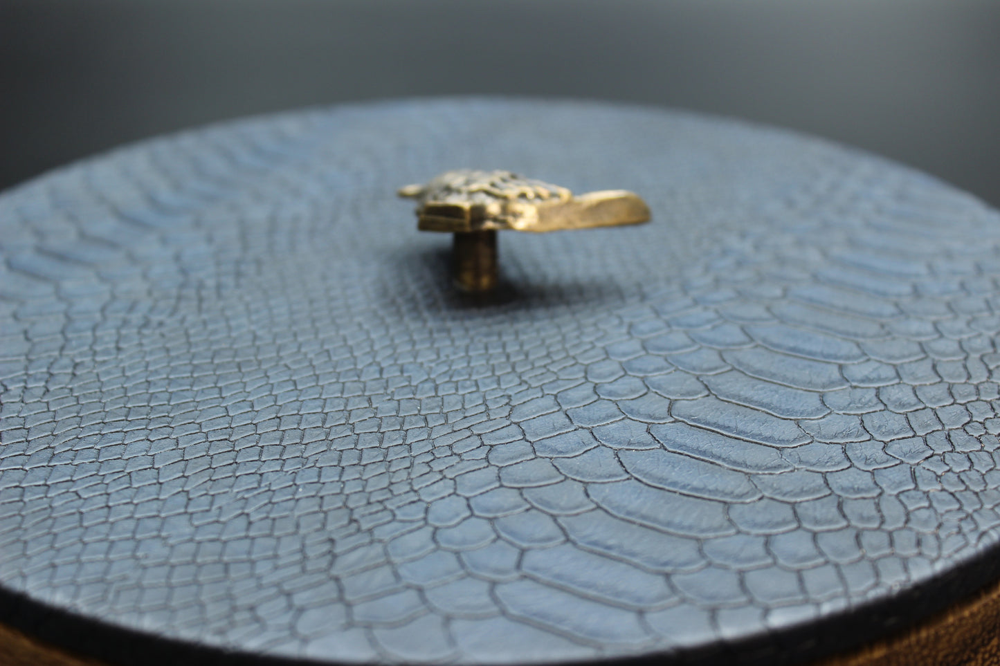 Blue Snakeskin & Bird Wooden Tortilla Holder