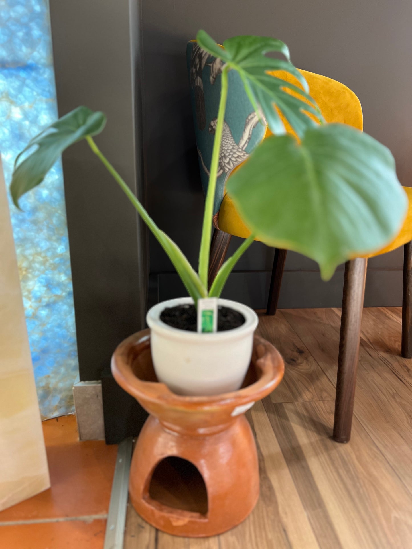 Traditional Mexican Barro Flower Pot