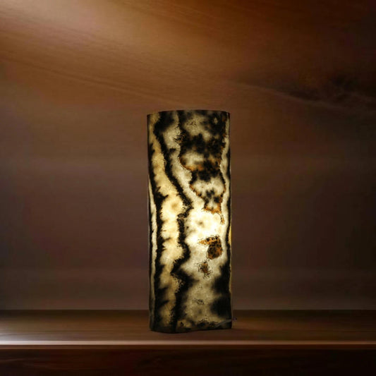 Orange & Black Bacterium Onyx Lamp