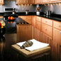 Apis Beetle Wood Napkin Holder