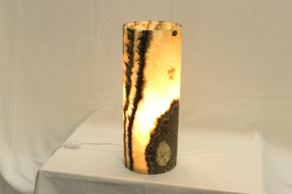 Orange & Black Bacterium Onyx Lamp