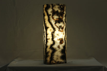 Orange & Black Bacterium Onyx Lamp
