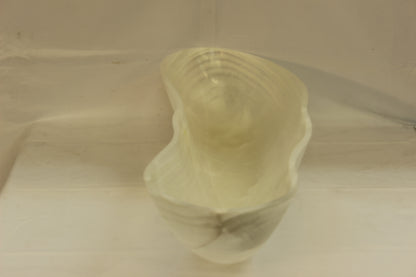 White Celes Onyx Centerpiece