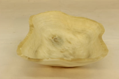 Beige Small Onyx Centerpiece