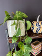 Beige ceramic Flower Pot