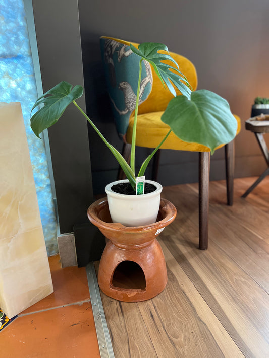 Traditional Mexican Barro Flower Pot