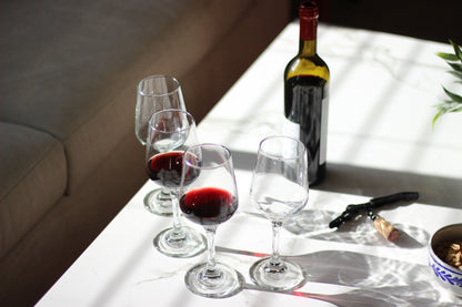 Copa Vino Blanco Toscana 12oz Stemware – Set of 4