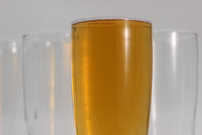 Vaso Cervecero Pilsner 16oz Beer Glass – Set of 4