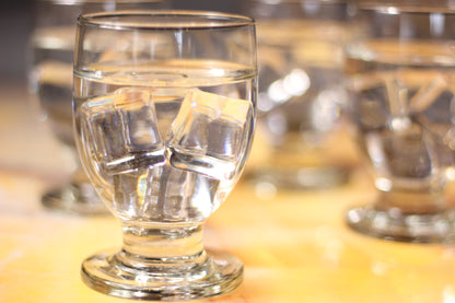 Copa de Agua Ferrara 12oz Water Goblet – Case of 24