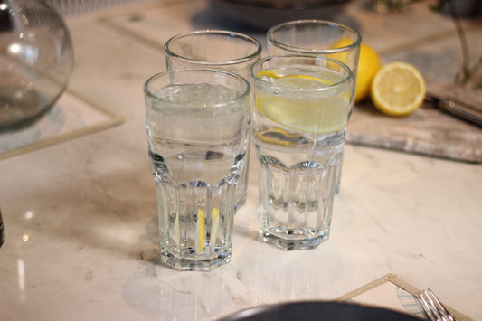 Vaso Refresco Siena 16oz Cooler Tumbler – Set of 4