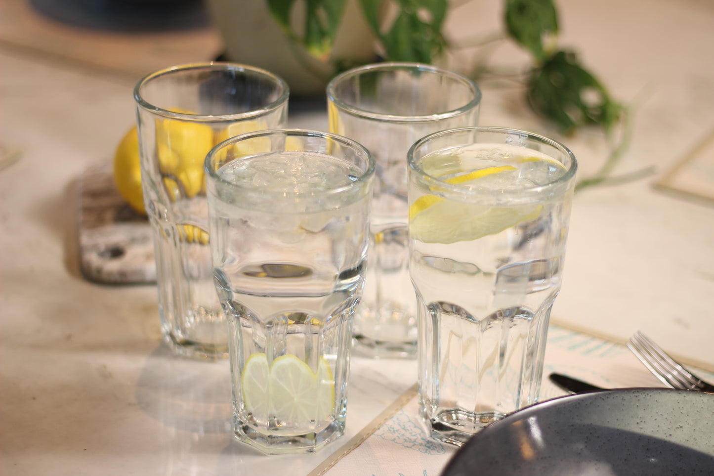 Vaso Refresco Siena 16oz Cooler Tumbler – Set of 4